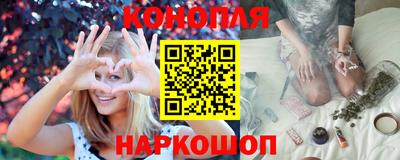 крисы Донской