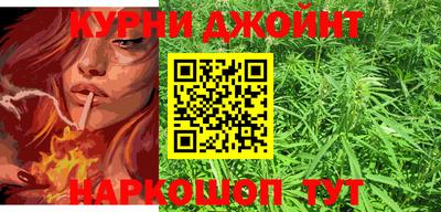 крисы Донской