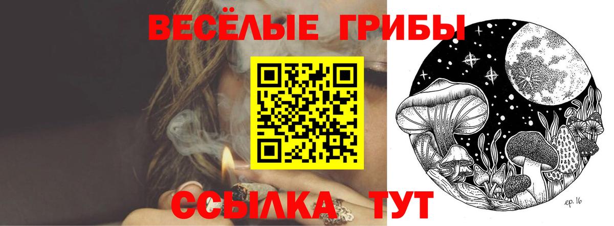 Псилоцибиновые грибы Magic Shrooms  Вход с VPN  Красноуфимск  Псилоцибиновые грибы Cubensis 